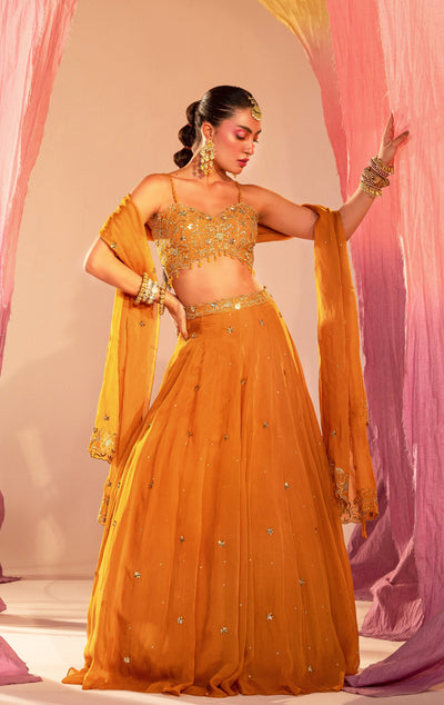 V Hem Embroidered Blouse With Lehenga And Embroidered Dupatta Set