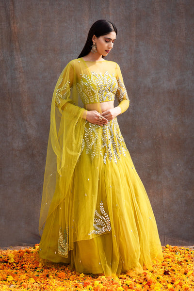 Ankita Raghav Arora in Mirror Work Soft Net Illusion Blouse Lehenga Set