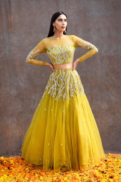 Ankita Raghav Arora in Mirror Work Soft Net Illusion Blouse Lehenga Set