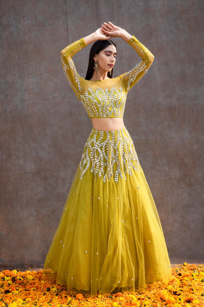 Ankita Raghav Arora in Mirror Work Soft Net Illusion Blouse Lehenga Set