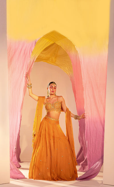 V Hem Embroidered Blouse With Lehenga And Embroidered Dupatta Set