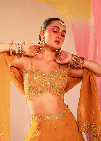 V Hem Embroidered Blouse With Lehenga And Embroidered Dupatta Set