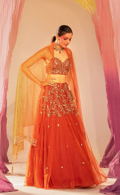 Embroidered V Hem Bustier Lehenga And Embroidered Dupatta Set