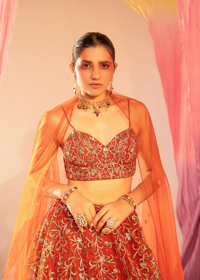 Embroidered V Hem Bustier Lehenga And Embroidered Dupatta Set
