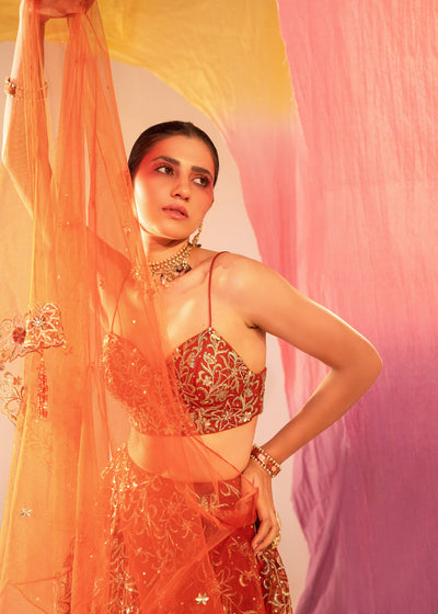 Embroidered V Hem Bustier Lehenga And Embroidered Dupatta Set