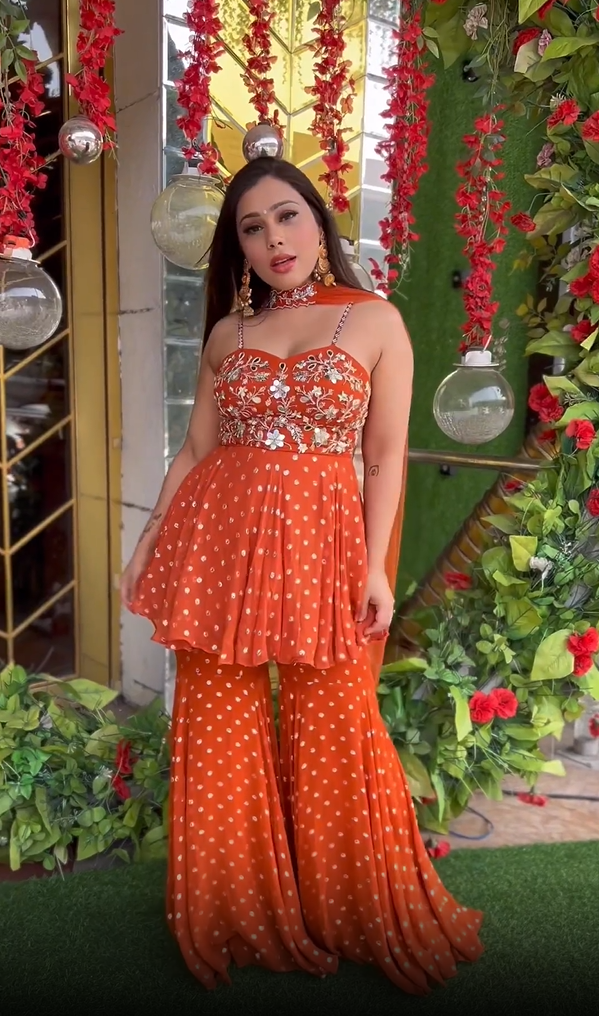 Ankita Raghav Arora in Mirror Work Corset Peplum And Fit'N'Flare Pant Set In Lurex Georgette With Choker Dupatta