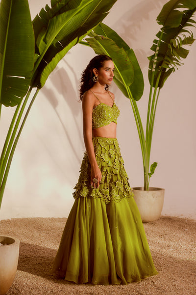 MONSTERA LEHENGA SET