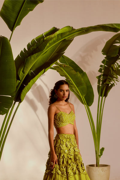MONSTERA LEHENGA SET