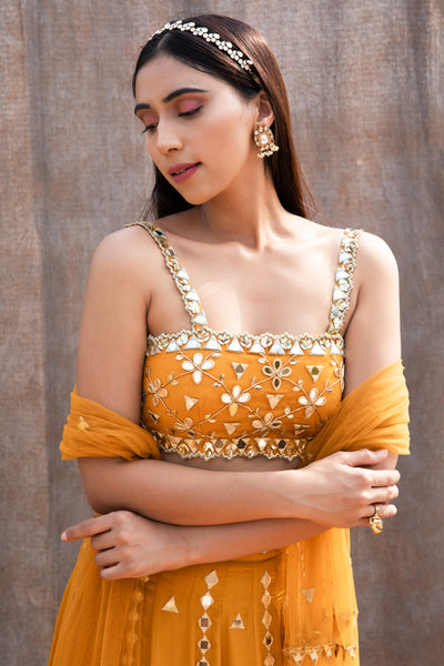Mirror Work Bustier With High Waist Mirror Lines Lehenga And Embroidered Dupatta
