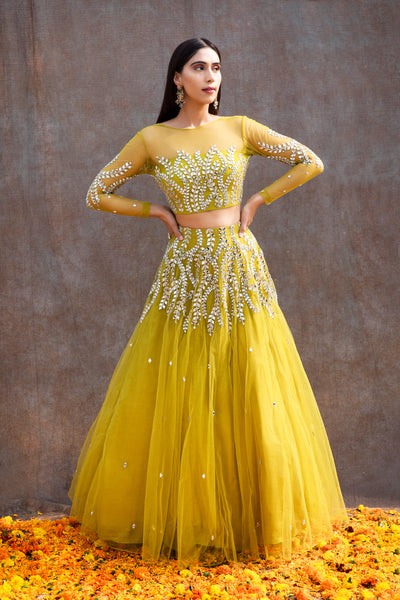 Mirror Work Soft Net Illusion Blouse Lehenga Set