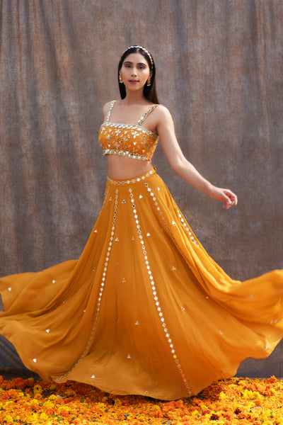 Mirror Work Bustier With High Waist Mirror Lines Lehenga And Embroidered Dupatta