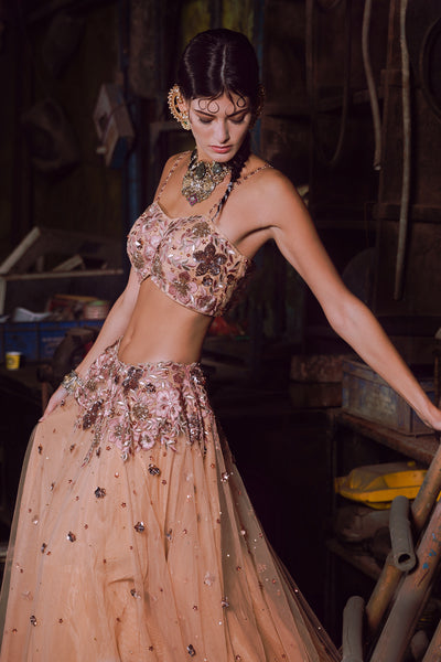 Floral Embroidery V-Hem Bustier With Embroidered Waist Lehenga & Floral Border Dupatta
