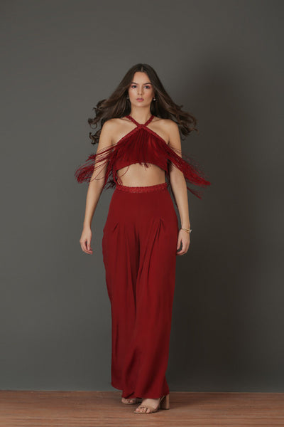 Red Embroidered Fringe Blouse And Pant Set