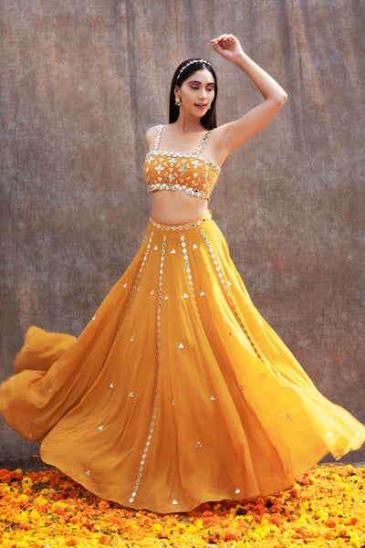 Mirror Work Bustier With High Waist Mirror Lines Lehenga And Embroidered Dupatta