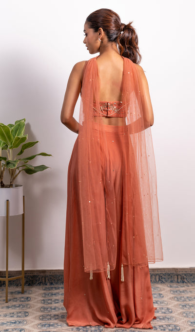Embroidered Bustier With High Waisted Embellished Pallazo And Choker Dupatta